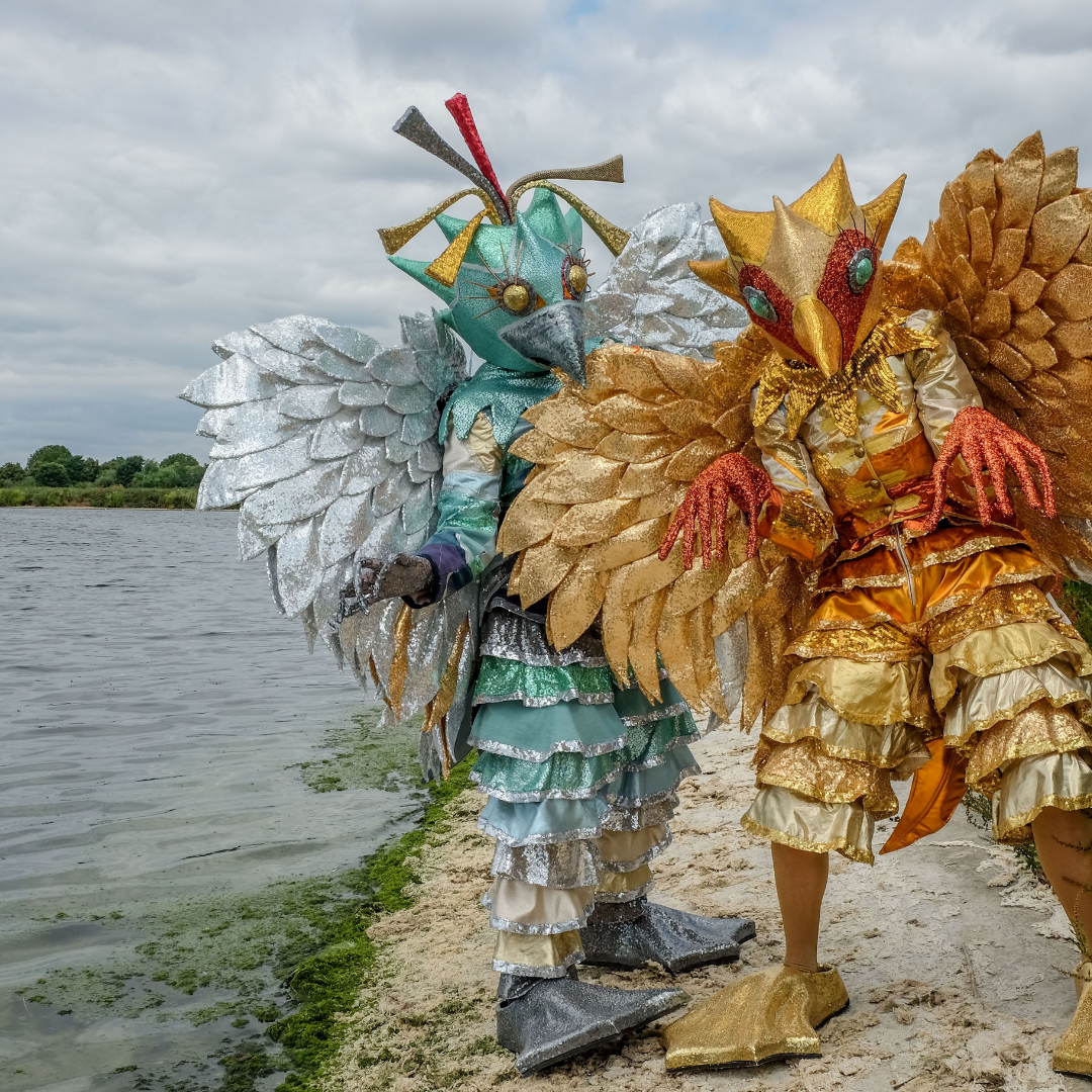 “Twilight Feathers” Lands at The Hunt Museum!